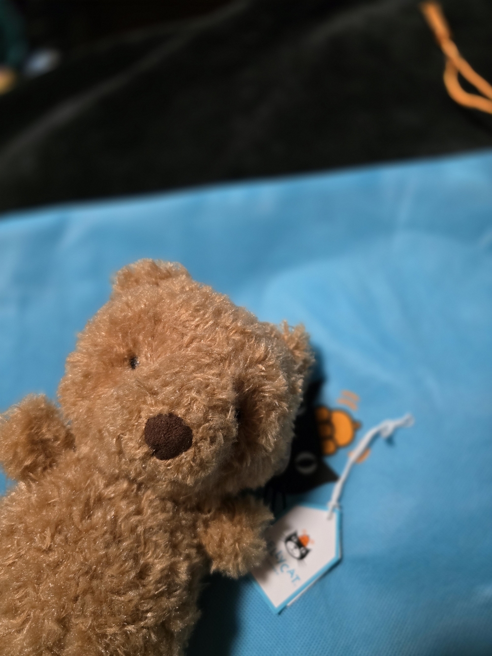 Jellycat Little Bear